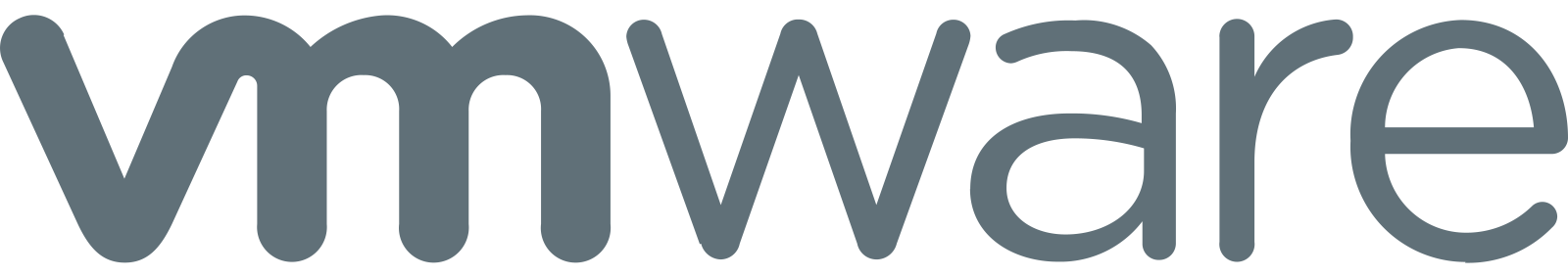 VMware